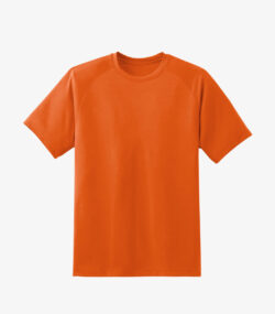 Coral Tee-shirt - Image 2